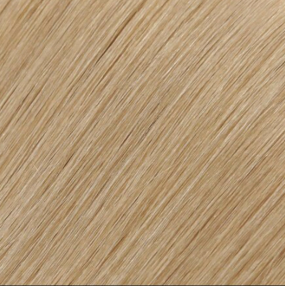 Hair Extensions Colour Swatch