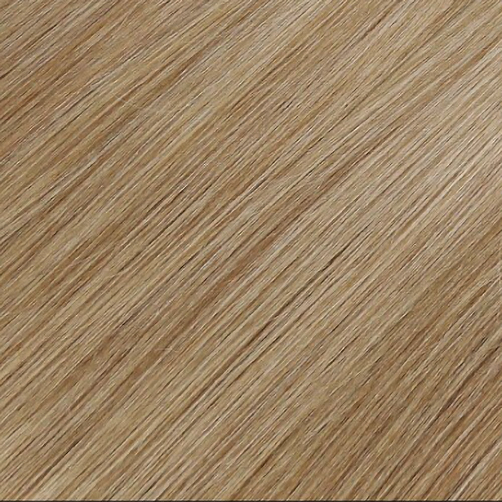 Hair Extensions Colour Swatch