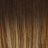 Hair Extensions Colour Swatch