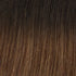 Hair Extensions Colour Swatch 