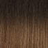 Hair Extensions Colour Swatch 